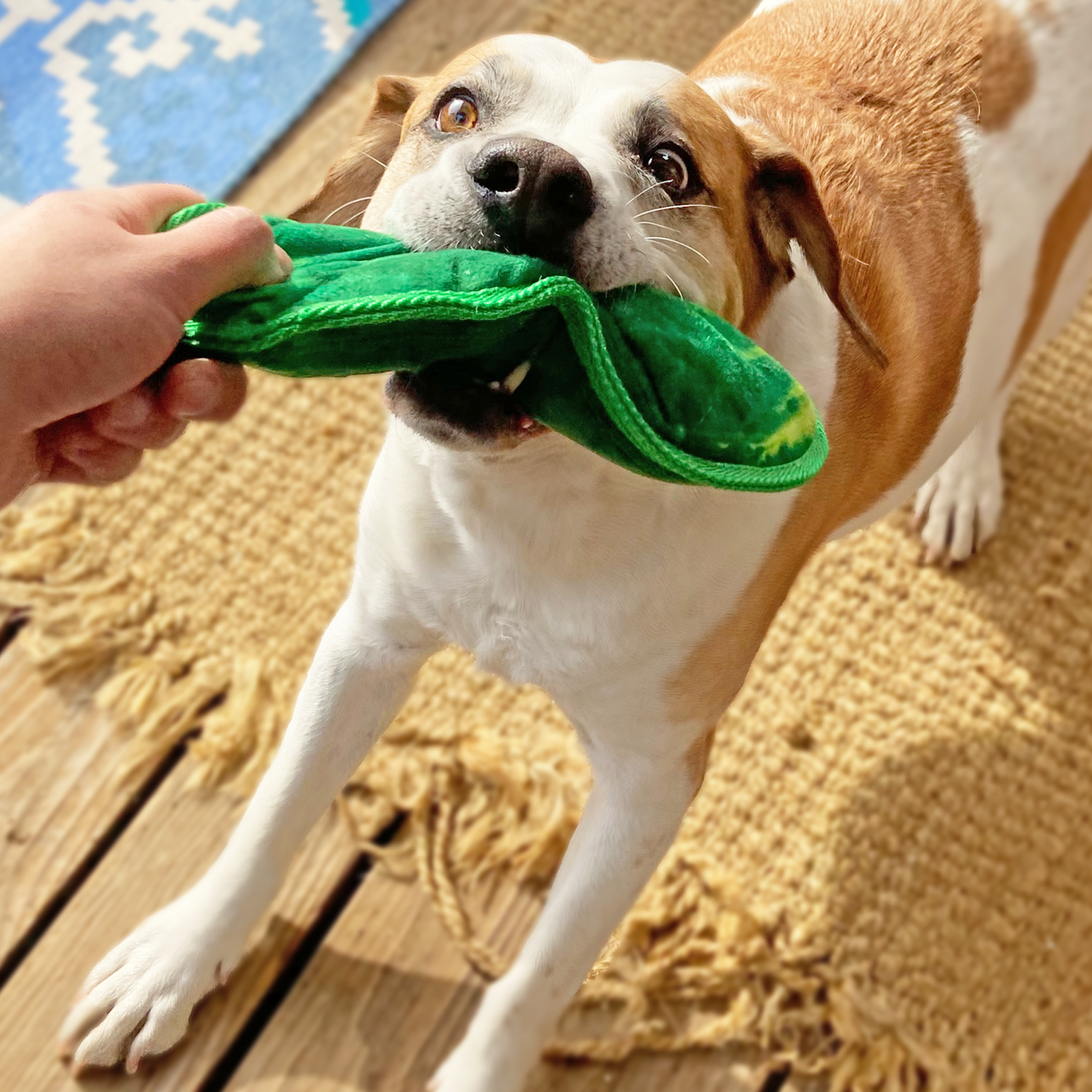 Tuffer Chewer Refillable Dill Pickle Toy