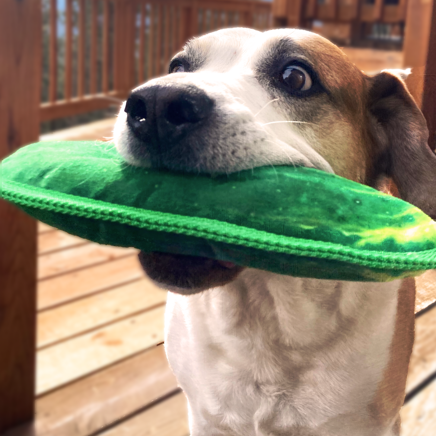 Tuffer Chewer Refillable Dill Pickle Toy