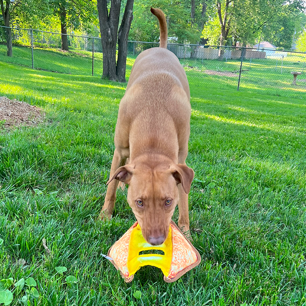 Tuffer Chewer Refillable Grilled Cheese Toy
