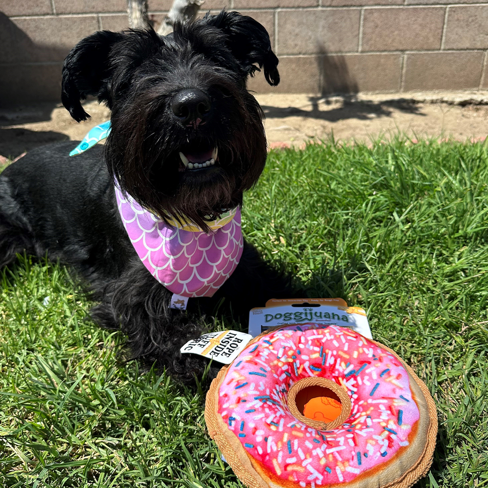 Tuffer Chewer Refillable Donut Toy
