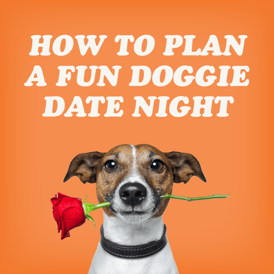 How To Plan A Fun Doggie Date Night