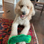 Tuffer Chewer Refillable Dill Pickle Toy