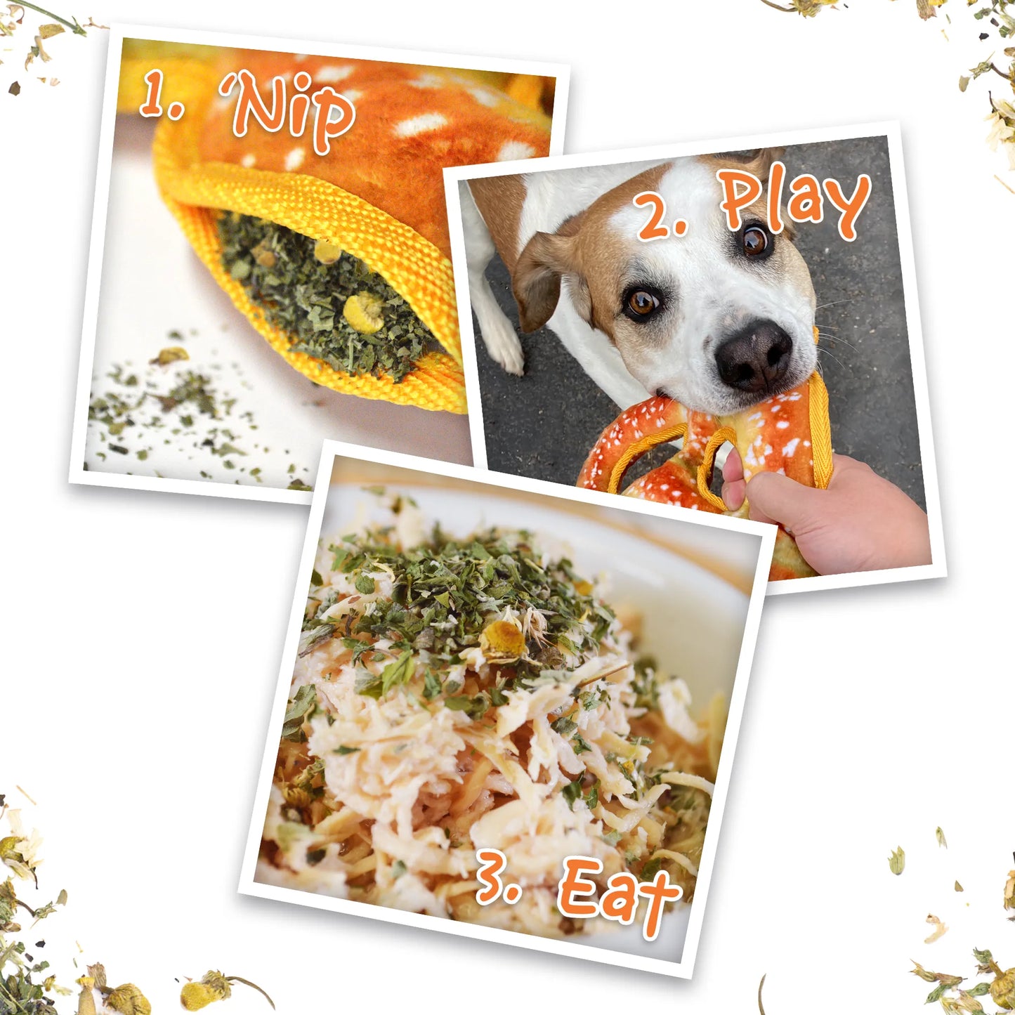 Images of Juananip® in use: stuffed in a toy, a dog playing, and sprinkled on food for calming effects.