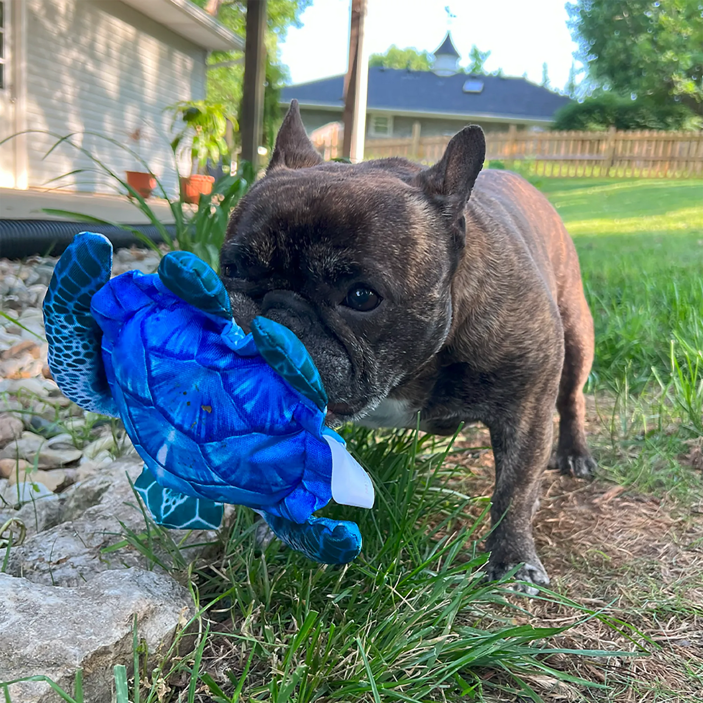 Get To The Beach Refillable Sea Turtle Toy