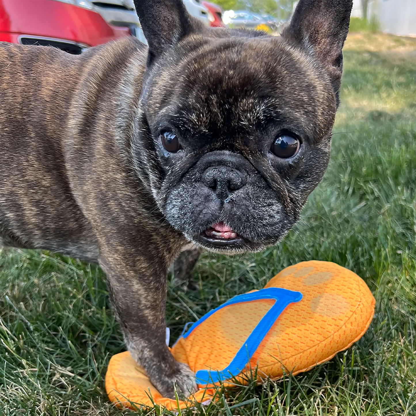 Get To The Beach Refillable Flip Flop Toy