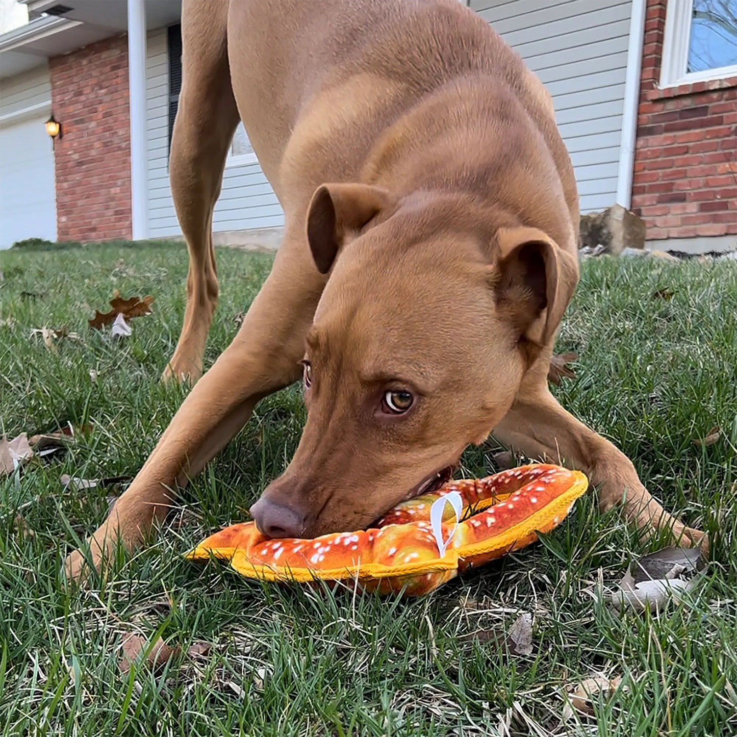 Tuffer Chewer Refillable Pretzel Toy