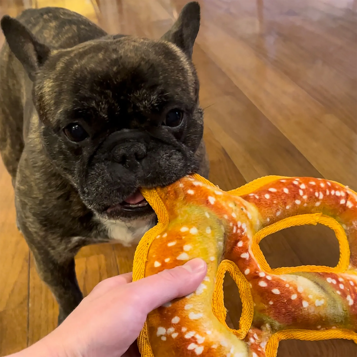 Tuffer Chewer Refillable Pretzel Toy