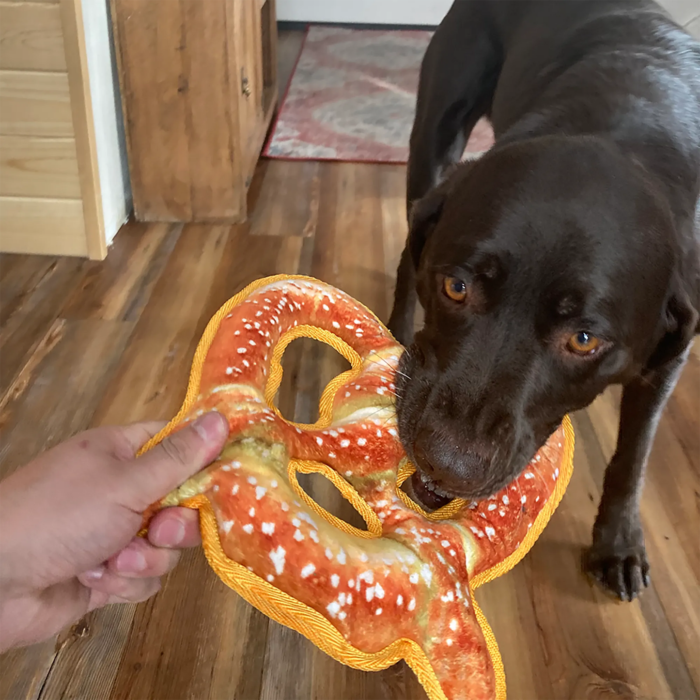 Pretzel dog toy hotsell