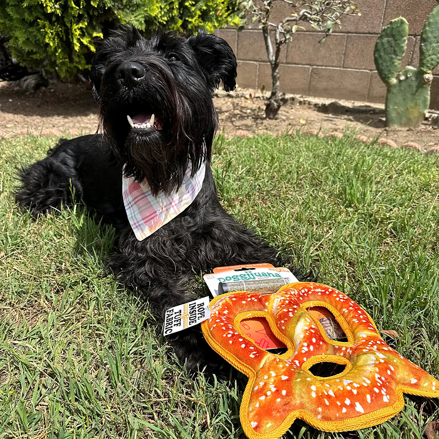 Tuffer Chewer Refillable Pretzel Toy