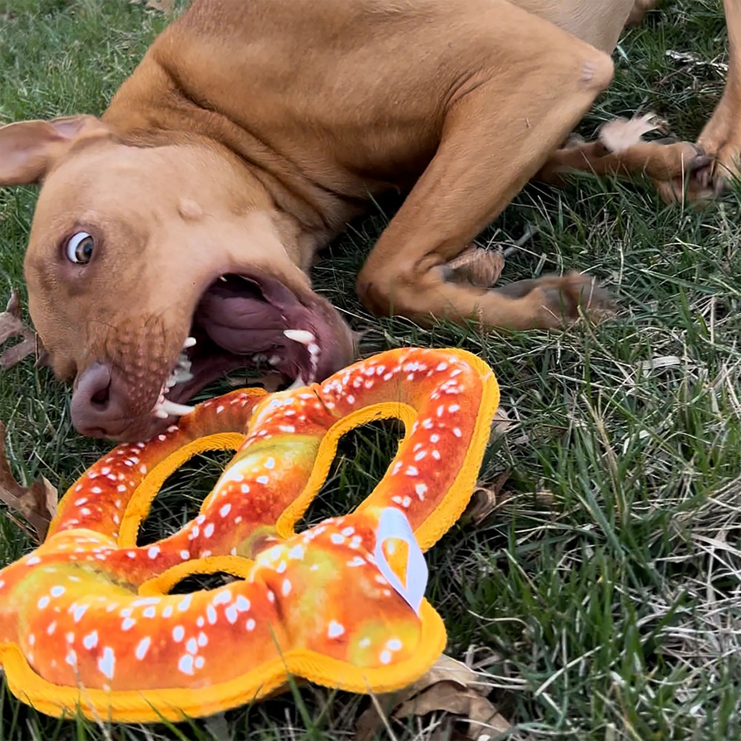 Tuffer Chewer Refillable Pretzel Toy