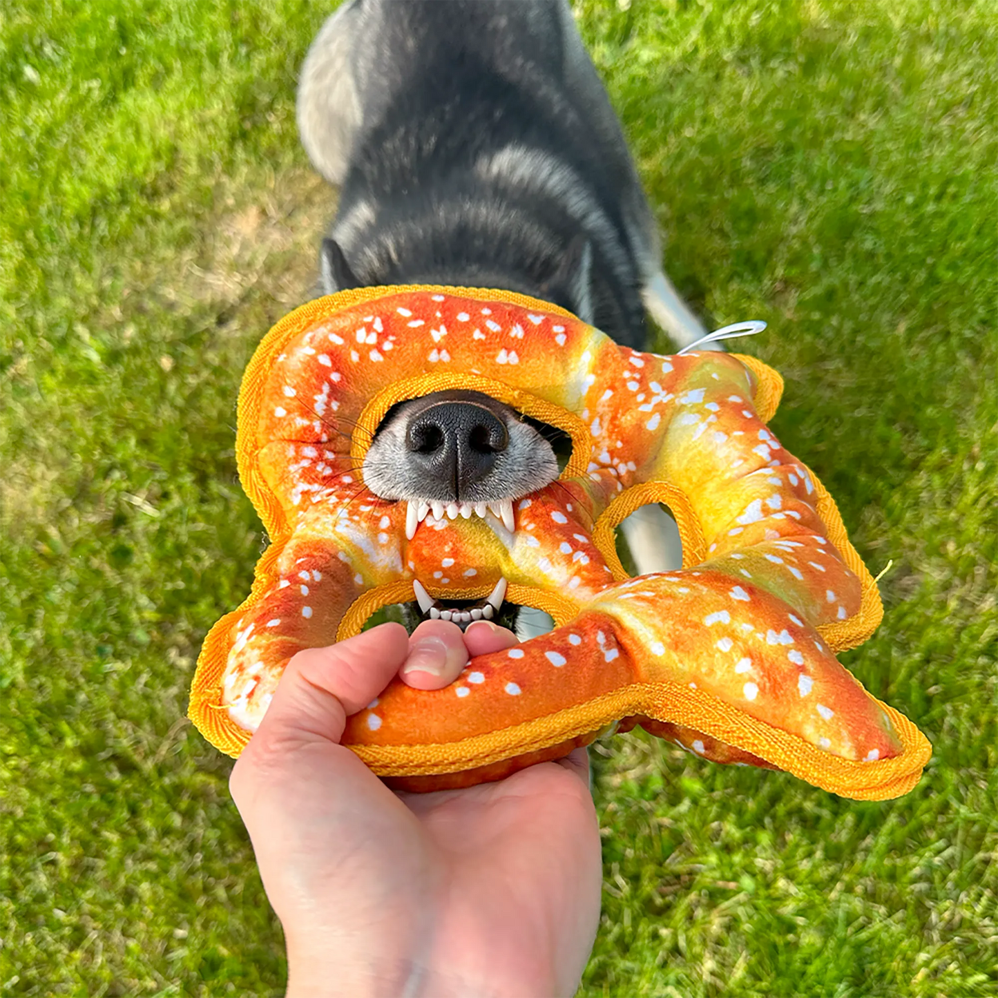 Tuffer Chewer Refillable Pretzel Toy