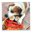 Tuffer Chewer Refillable Eggs and Bacon Toy