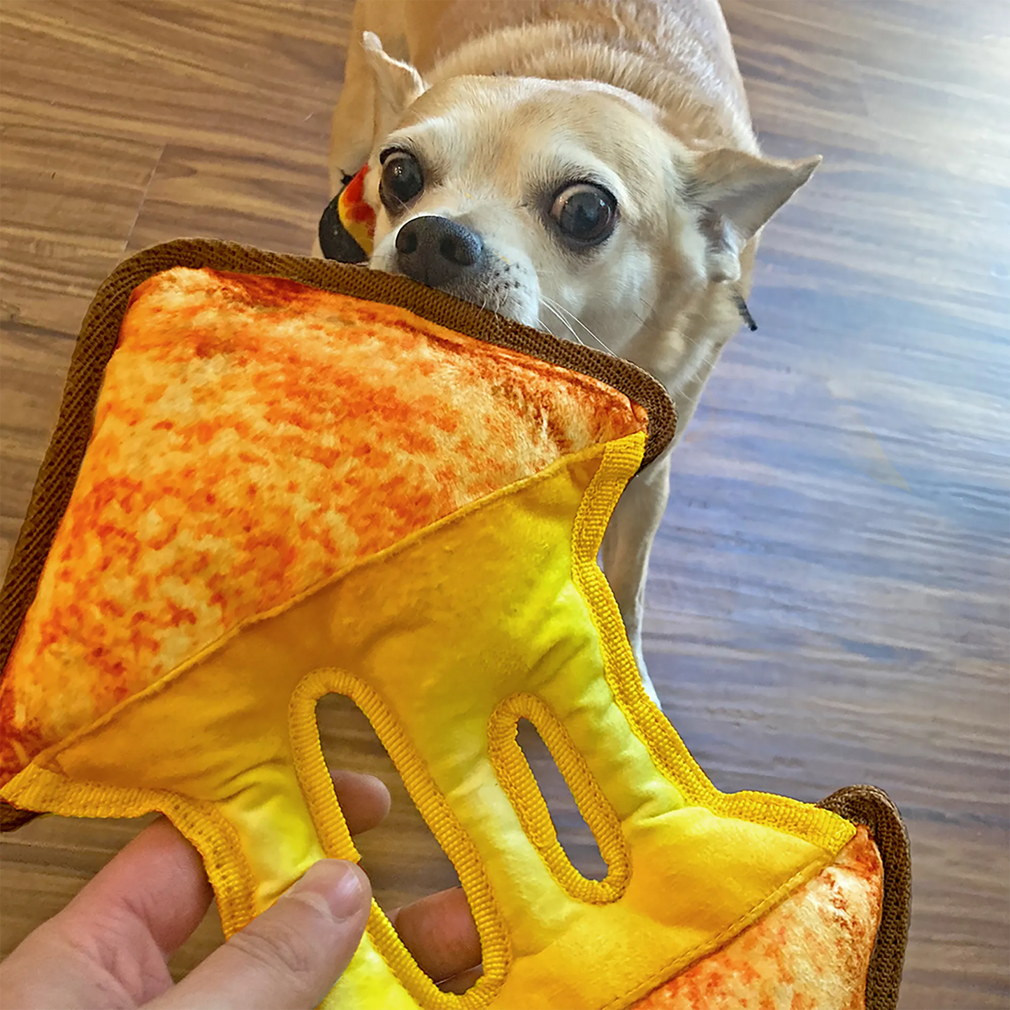 Dog enjoying the calming benefits of Doggijuana® grilled cheese chew toy filled with Juananip to help dogs relax and play longer.