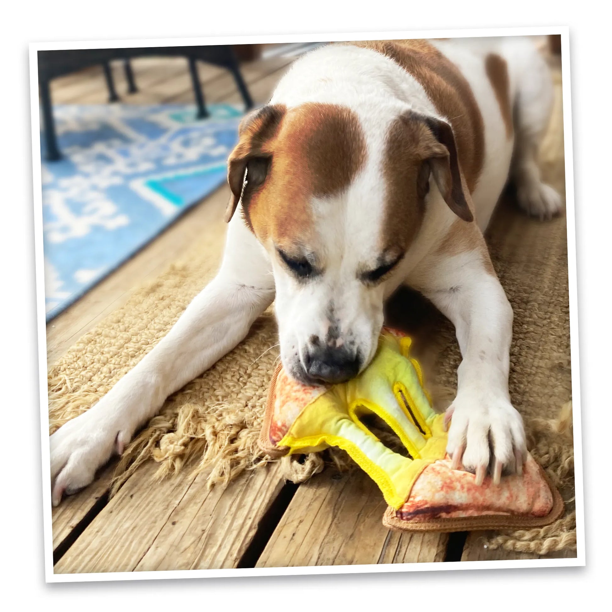 Dog playing with the Doggijuana® grilled cheese chew toy, featuring a durable rope core and calming Juananip™ for a fun and relaxing time.