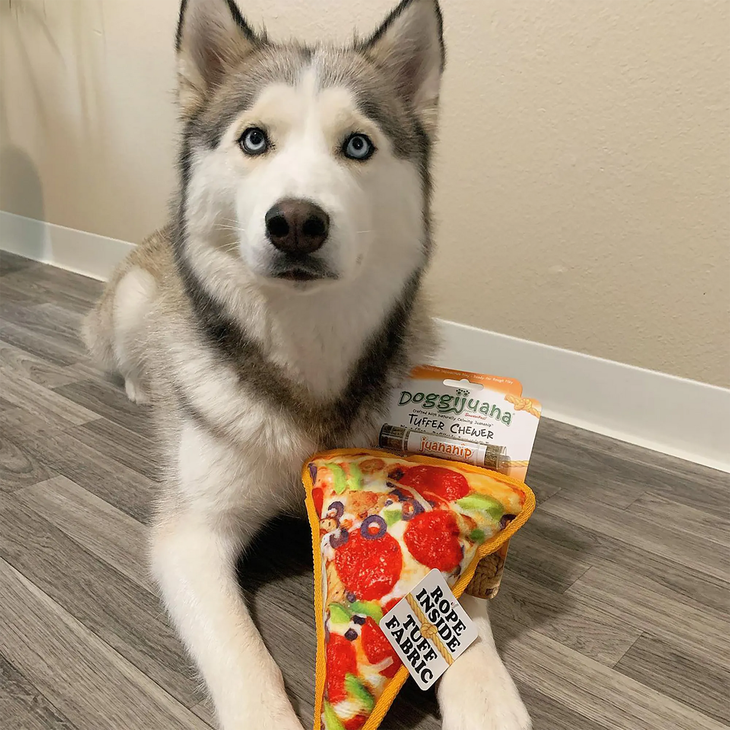 Husky posing with Doggijuana Pizza Toy, crafted for calming play with refillable Juananip and durable materials for interactive fun.