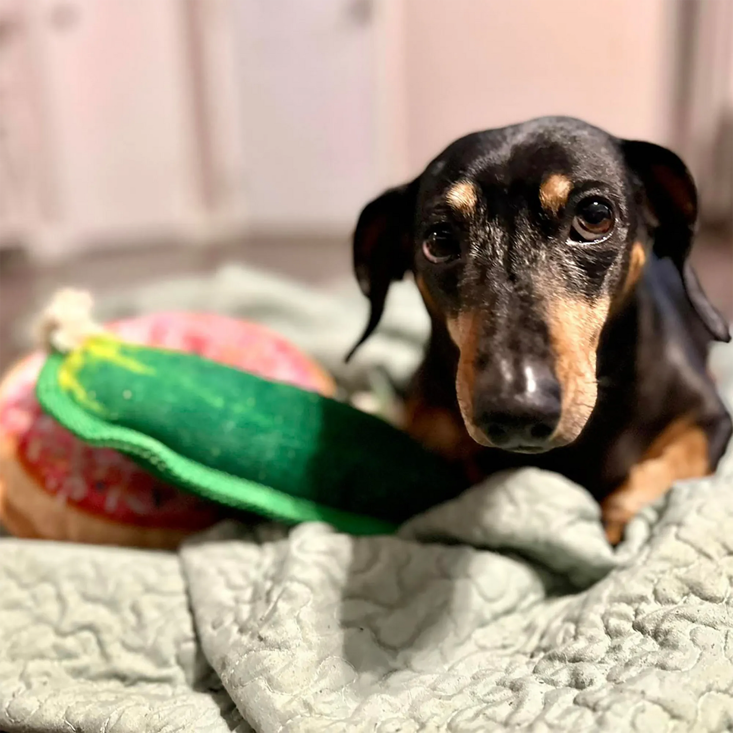 Tuffer Chewer Refillable Dill Pickle Toy