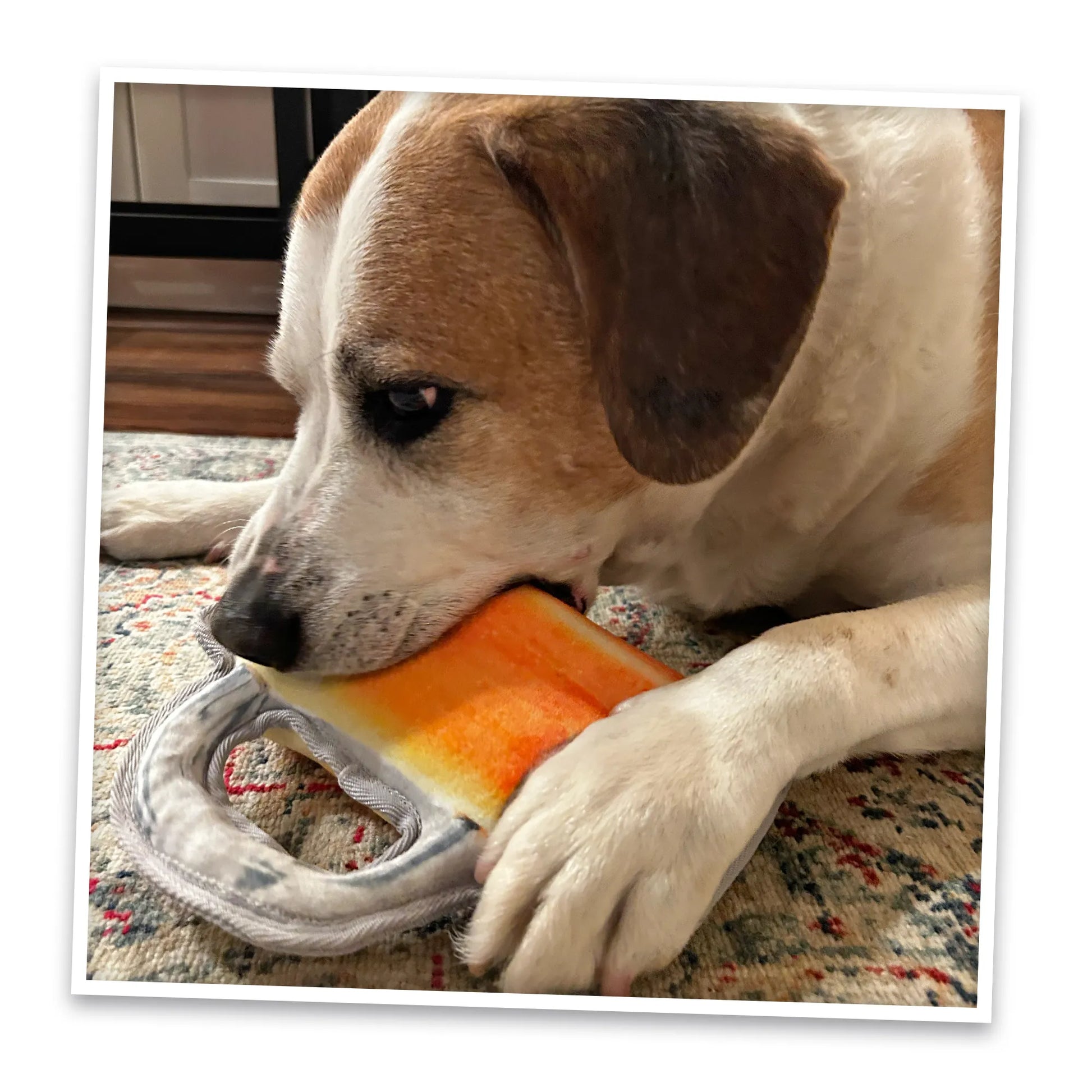 Dog chewing beer mug toy: ultra-durable fabric with calming Juananip for a relaxing and interactive playtime.