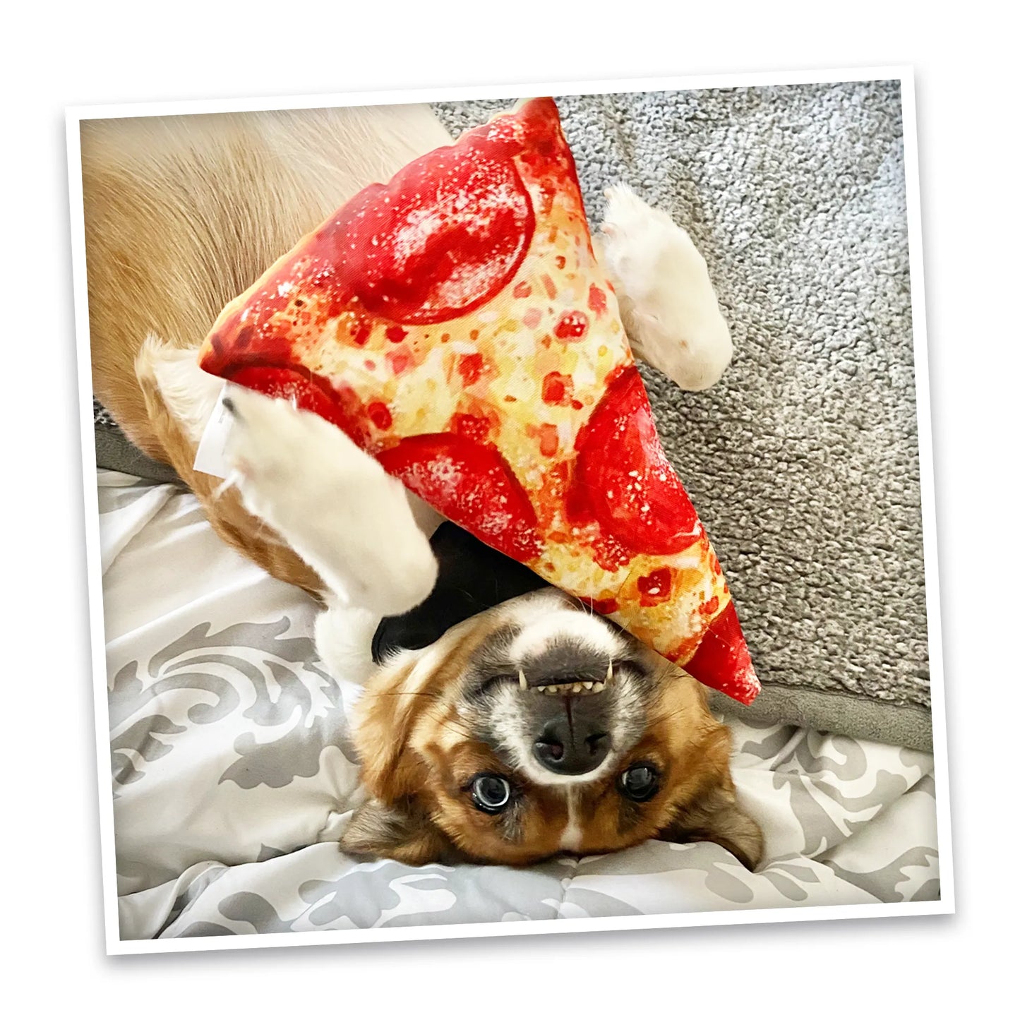 Calming Dog Toy Get the Munchies Refillable Pizza for Relaxation Doggijuana