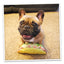 Get the Munchies Refillable Taco Toy