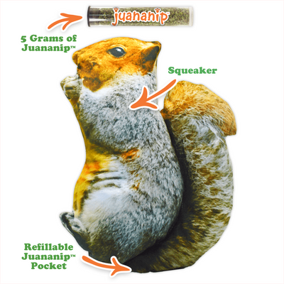 Get Outside Refillable Squirrel Toy