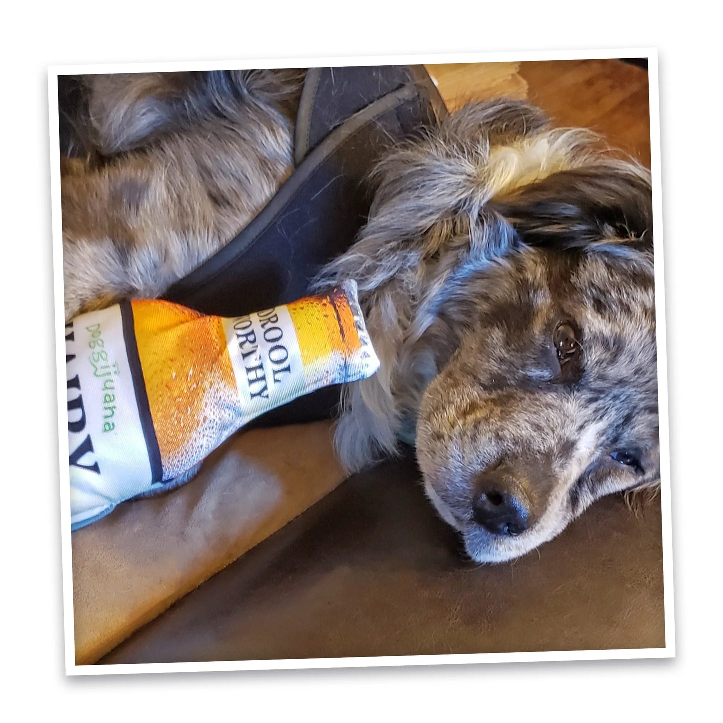 Get The Pawty Started Refillable Hairy Ale Toy