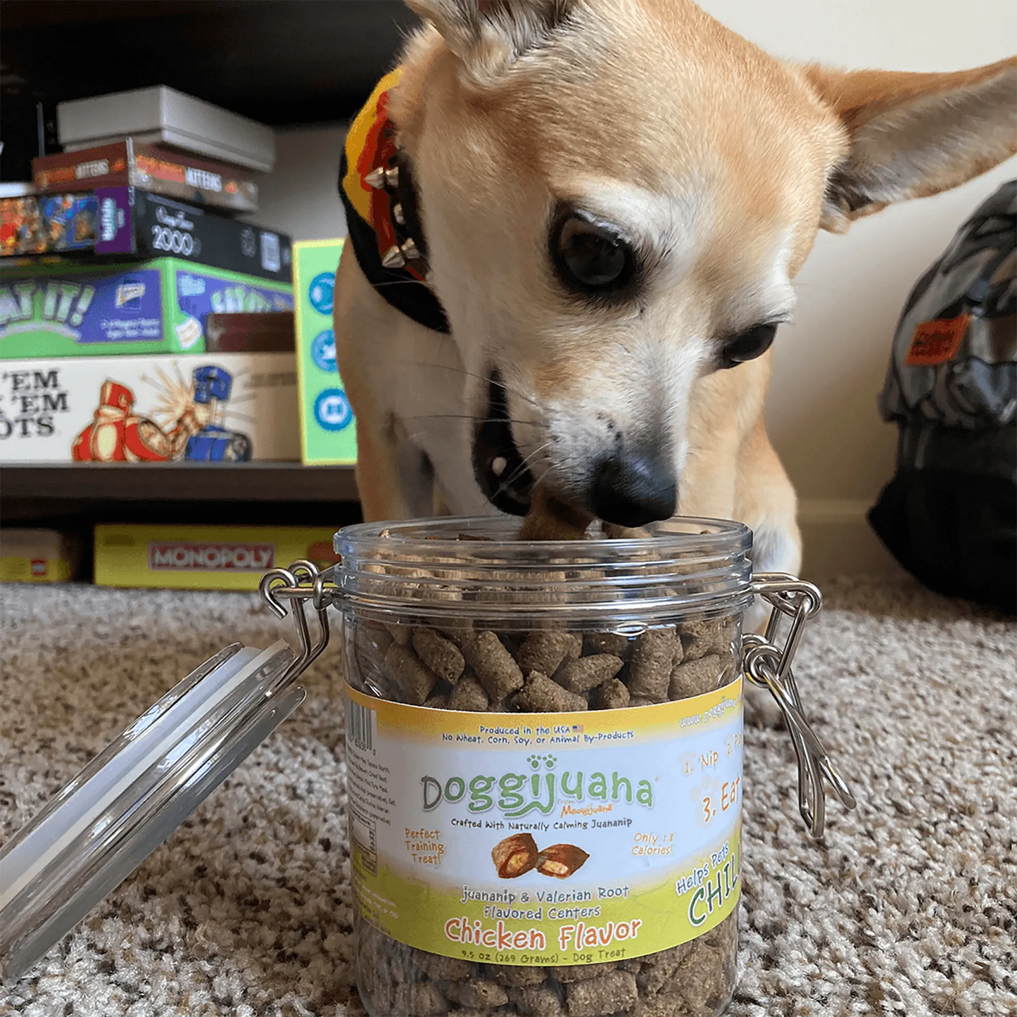 Tan dog eagerly reaching into an open jar of Doggijuana® chicken-flavored treats, emphasizing their palatability.