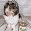 Black-and-white fluffy dog wearing a polka-dot bowtie sitting next to a jar of Doggijuana® chicken-flavored treats.