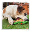 Dog chewing on the Doggijuana Tuffer Chewer taco-shaped toy while lying on the grass, enjoying the interactive and calming play.