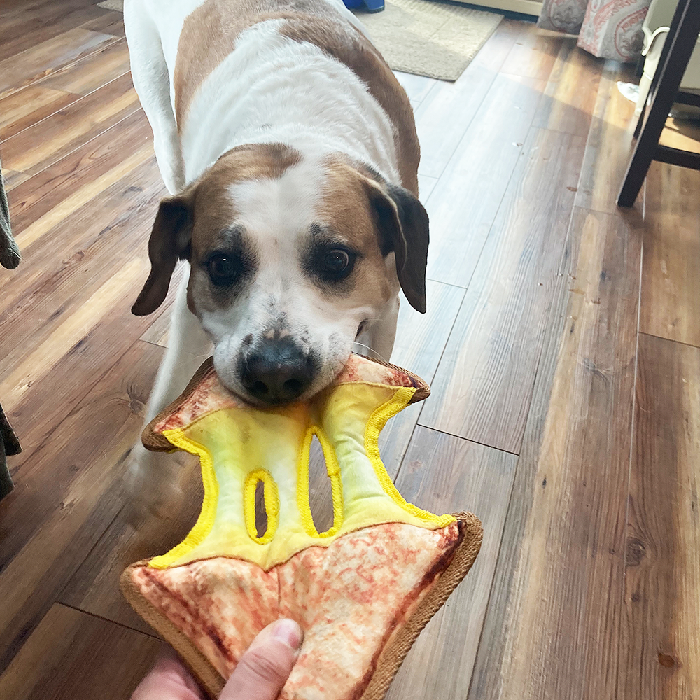 Tuffer Chewer Refillable Grilled Cheese Toy