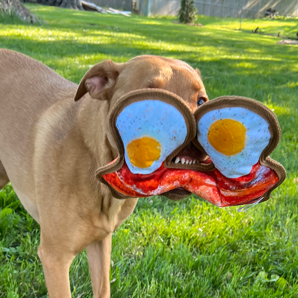 Tuffer Chewer Refillable Eggs and Bacon Toy