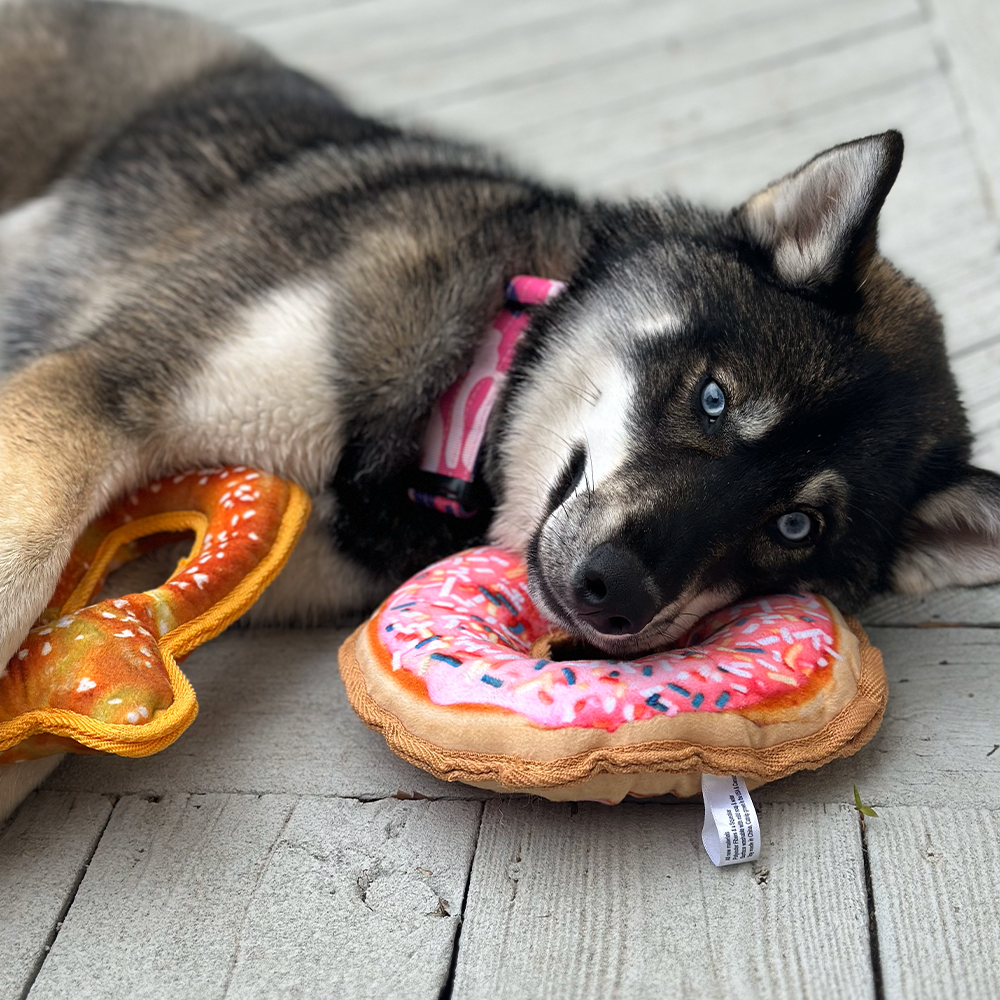 Tuffer Chewer Refillable Donut Toy