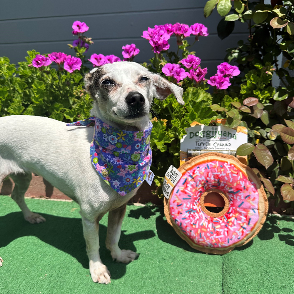 Tuffer Chewer Refillable Donut Toy