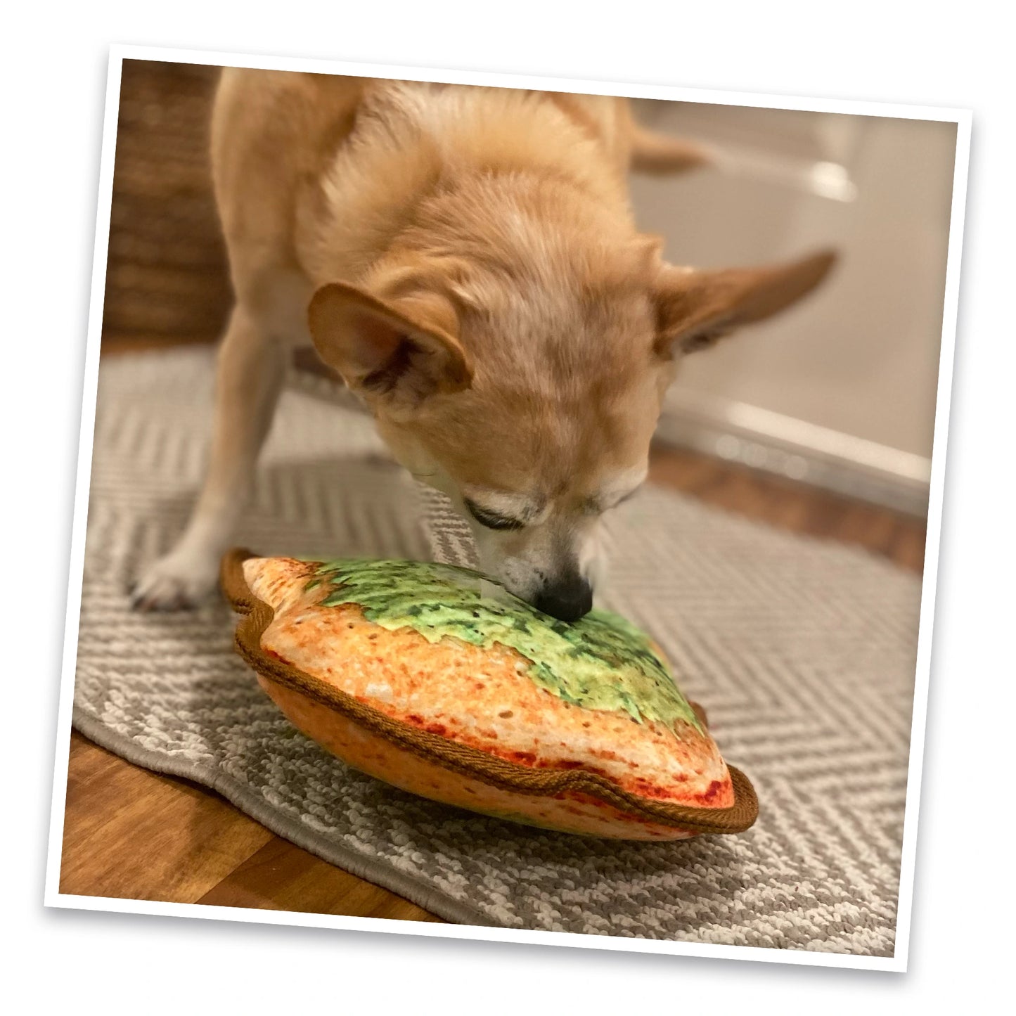 Tuffer Chewer Refillable Avocado Toast Toy