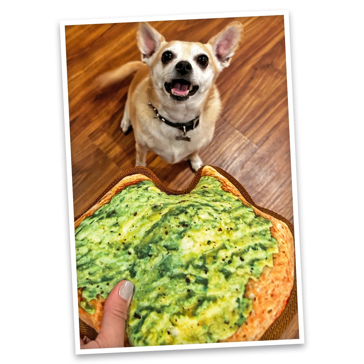 Tuffer Chewer Refillable Avocado Toast Toy