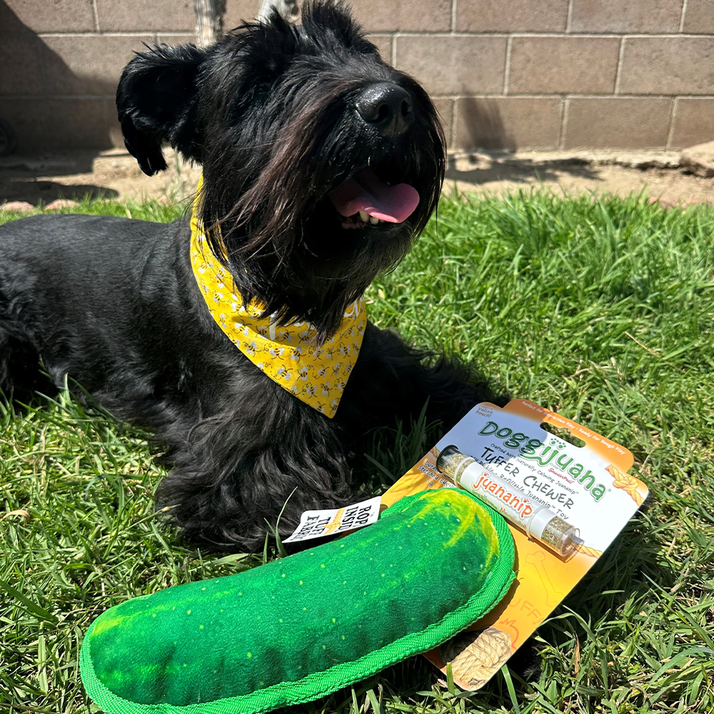 Tuffer Chewer Refillable Dill Pickle Toy