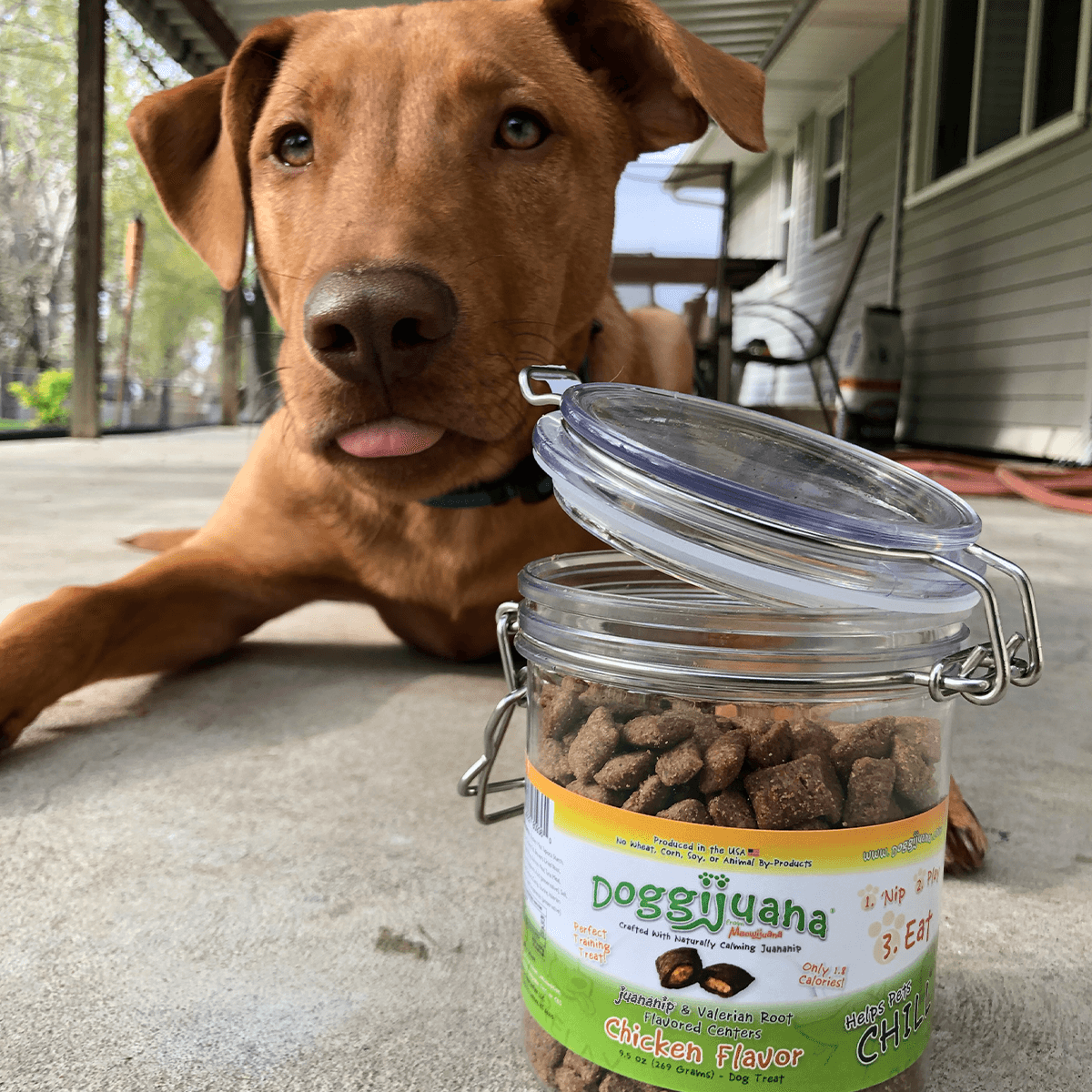 Juananip Treats - Doggijuana